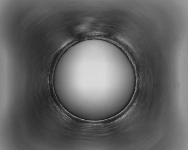 X0000088361305200705220725