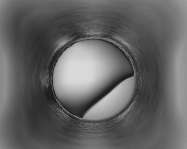 X0000088361306200705220725