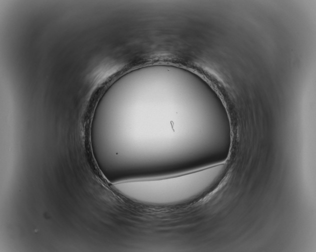 X0000088361309200705220725