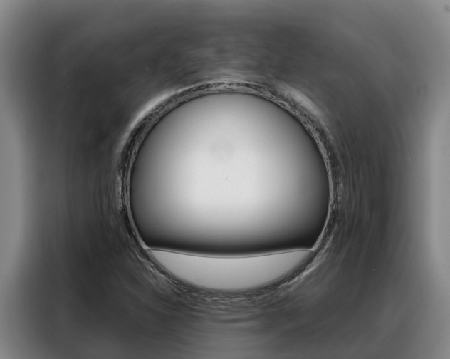 X0000088361310200705220725