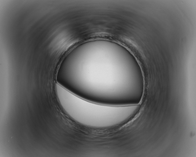 X0000088361313200705220725