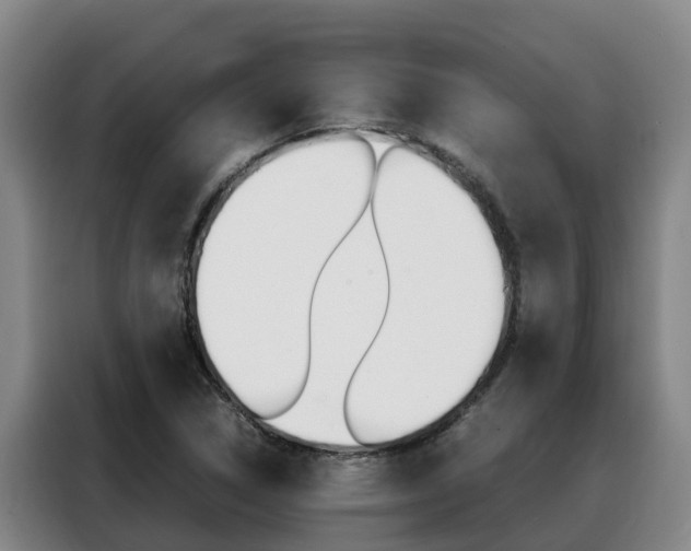 X0000088361314200705220725