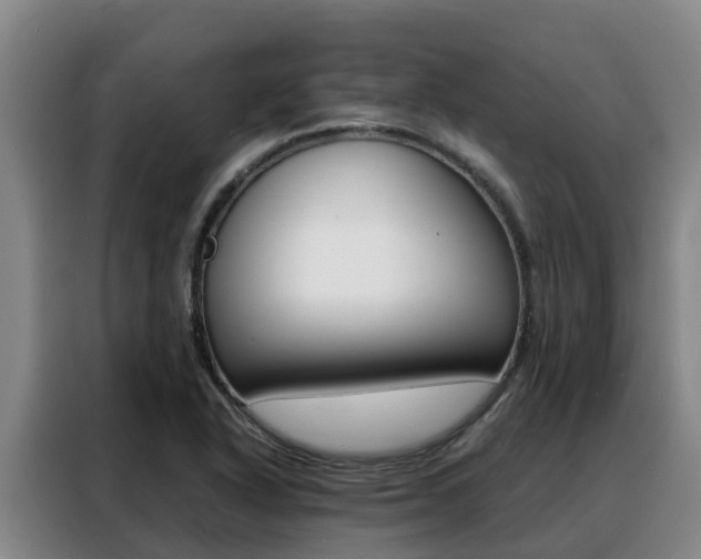 X0000088361318200705220725
