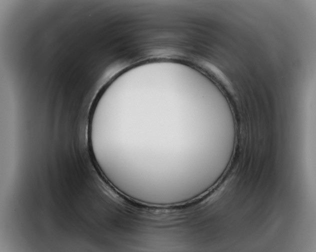 X0000088361322200705220725
