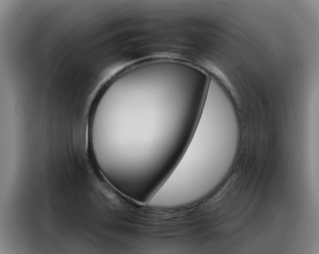 X0000088361323200705220725