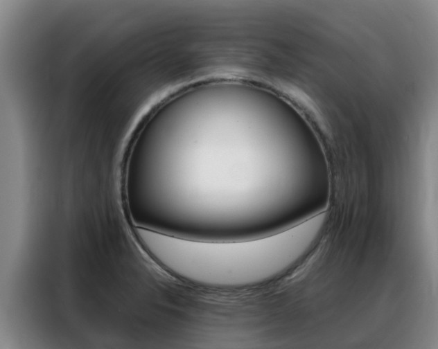 X0000088361326200705220725