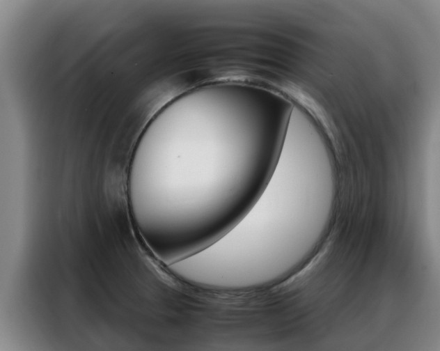 X0000088361329200705220725