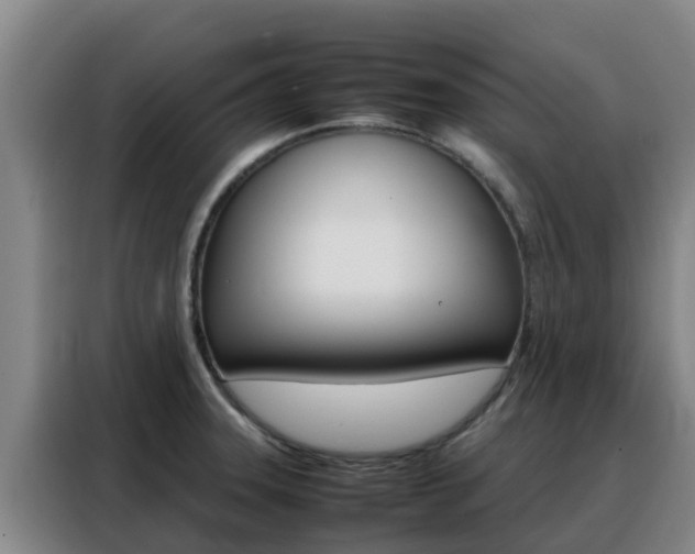 X0000088361331200705220725
