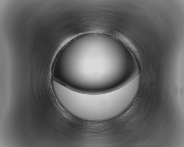 X0000088361332200705220725