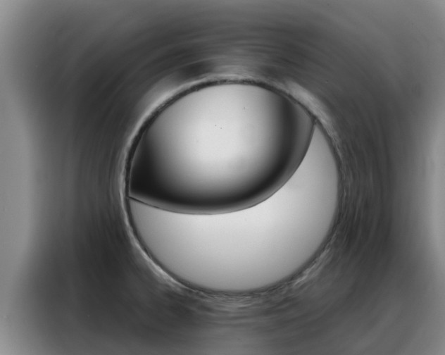X0000088361334200705220725