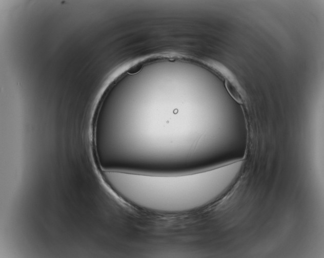 X0000088361335200705220725