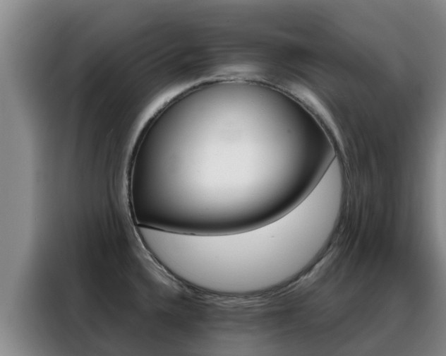 X0000088361336200705220725