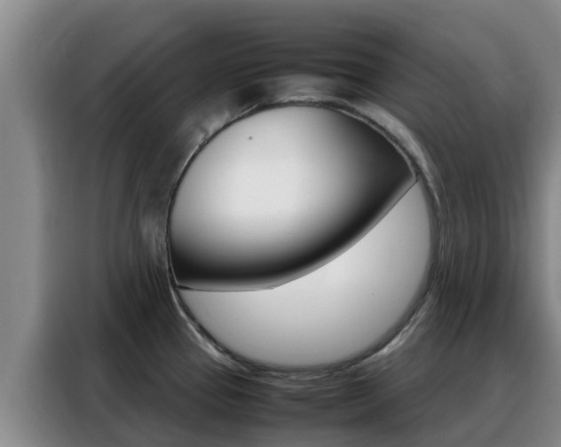 X0000088361337200705220725