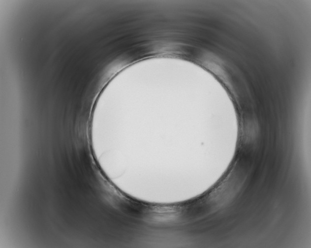 X0000088361338200705220725