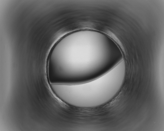 X0000088361339200705220725