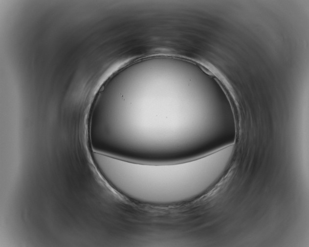 X0000088361341200705220725