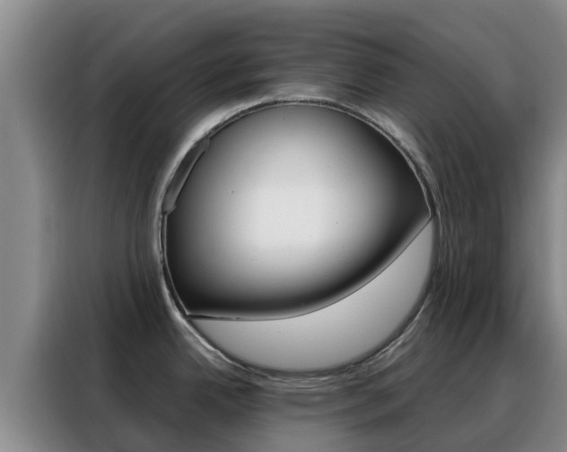 X0000088361342200705220725