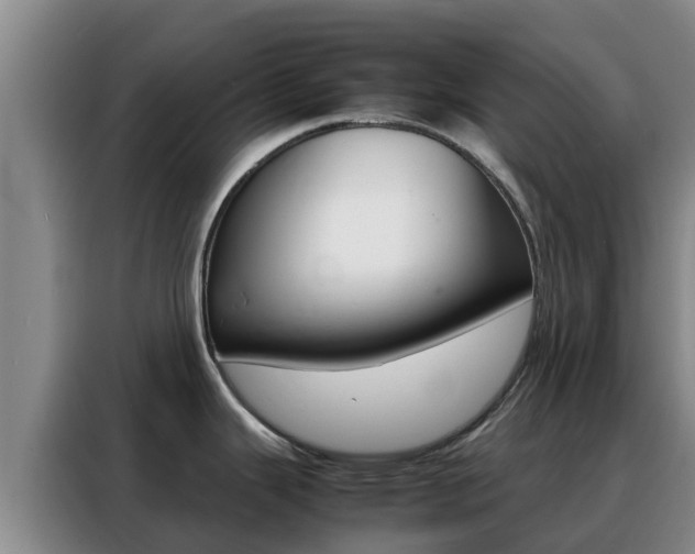 X0000088361343200705220725