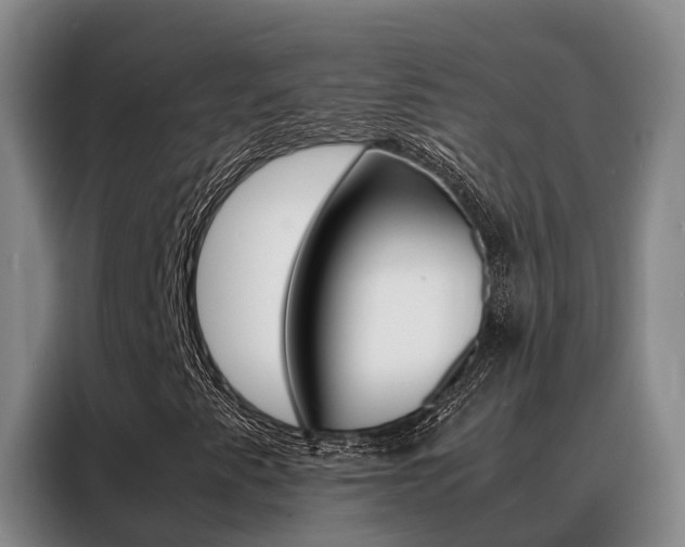 X0000088361345200705220725