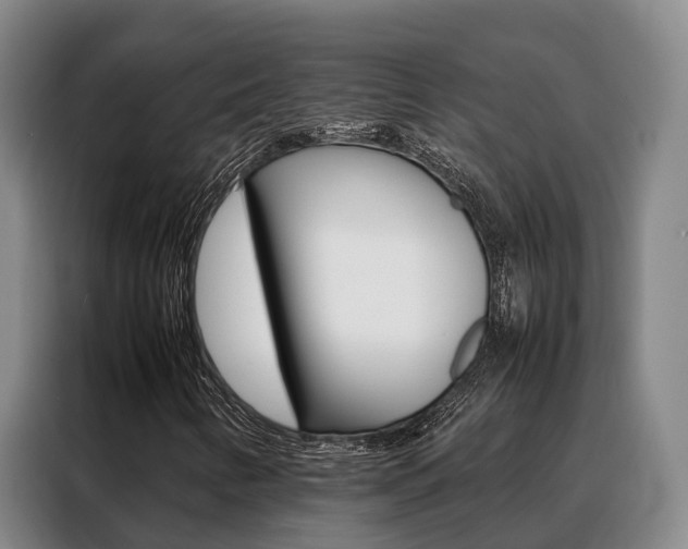 X0000088361346200705220725