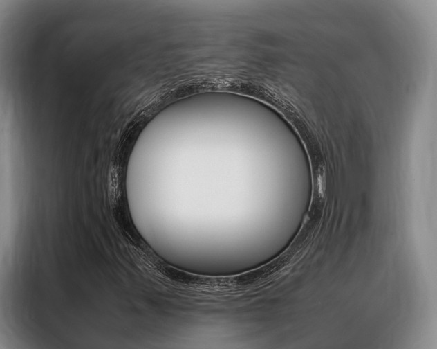 X0000088361347200705220725