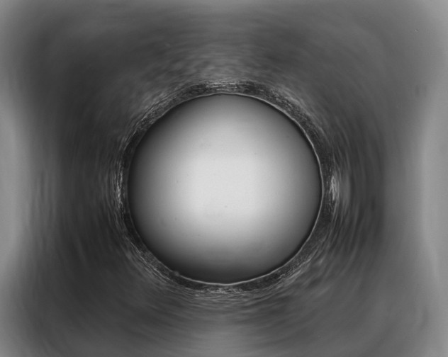 X0000088361348200705220725