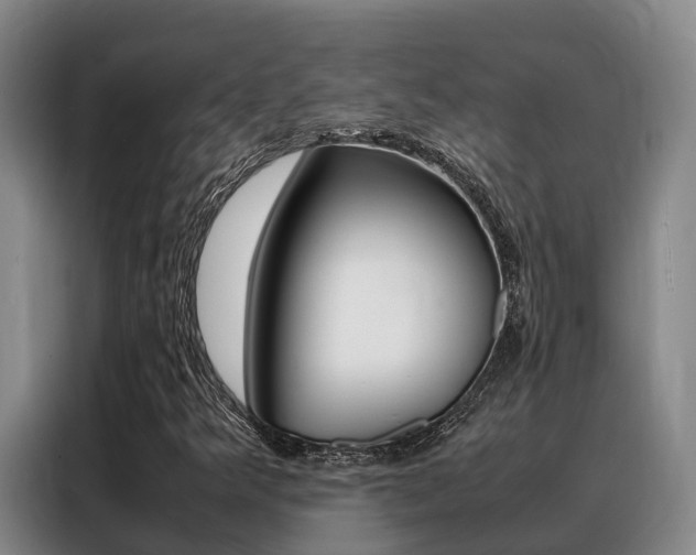 X0000088361349200705220725