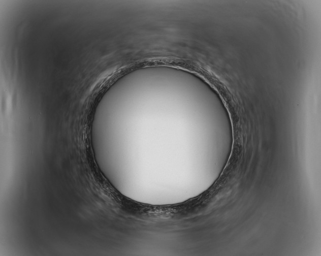 X0000088361351200705220724