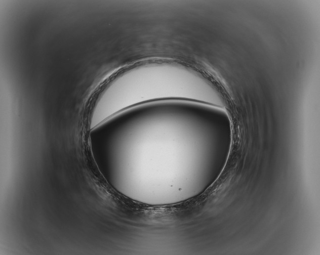 X0000088361352200705220724
