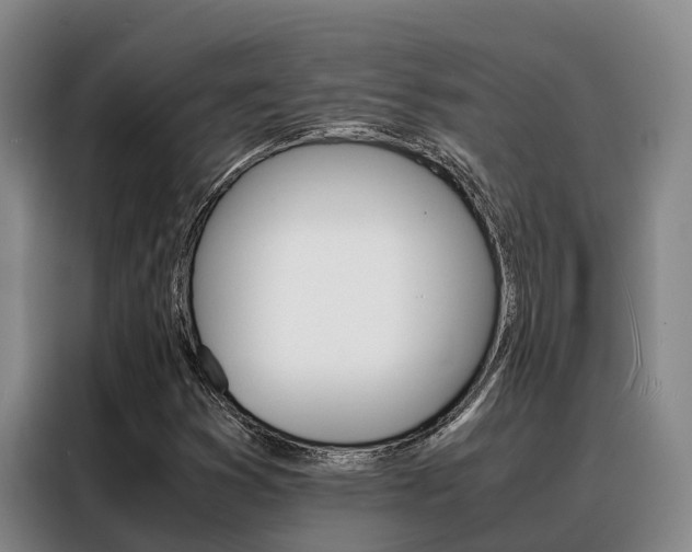 X0000088361353200705220724