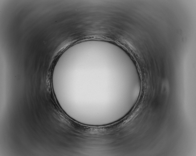 X0000088361354200705220724