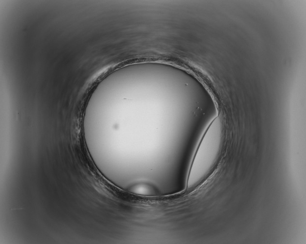 X0000088361355200705220724