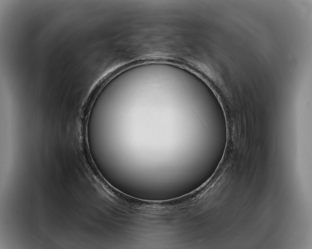 X0000088361356200705220724