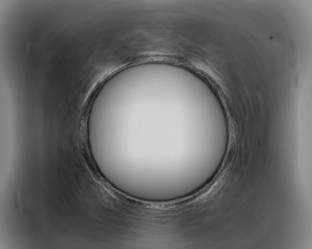 X0000088361357200705220724