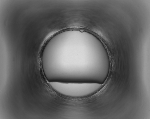 X0000088361358200705220724