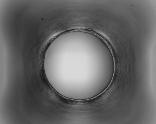 X0000088361359200705220724