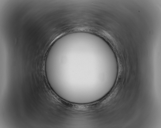 X0000088361361200705220724