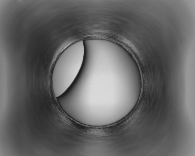X0000088361362200705220724