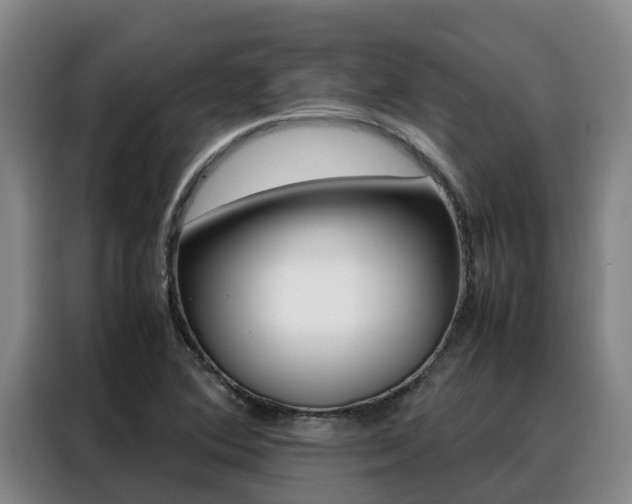 X0000088361364200705220724