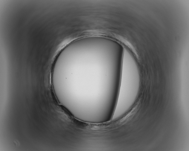 X0000088361365200705220724