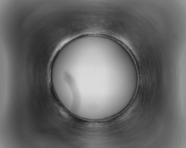 X0000088361366200705220724