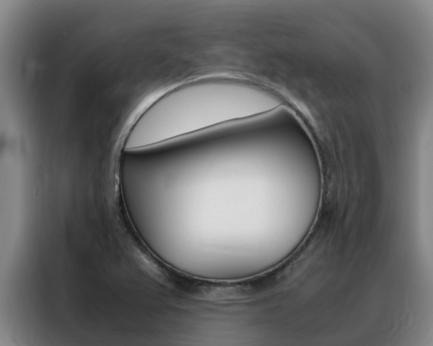 X0000088361367200705220724
