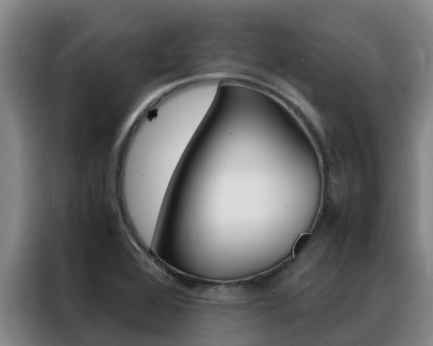 X0000088361368200705220724