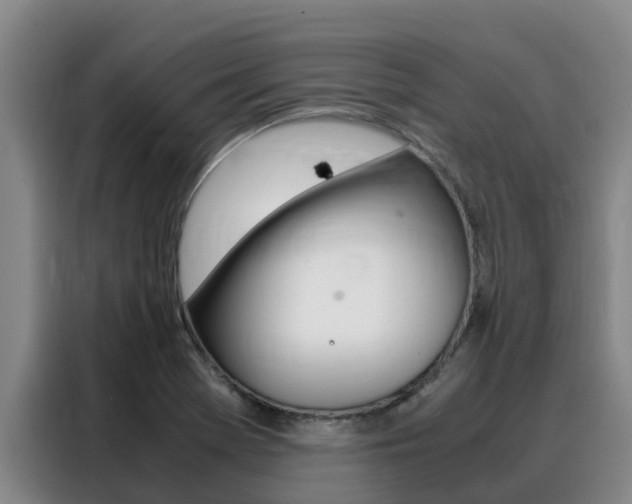 X0000088361369200705220724