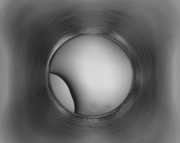 X0000088361370200705220724