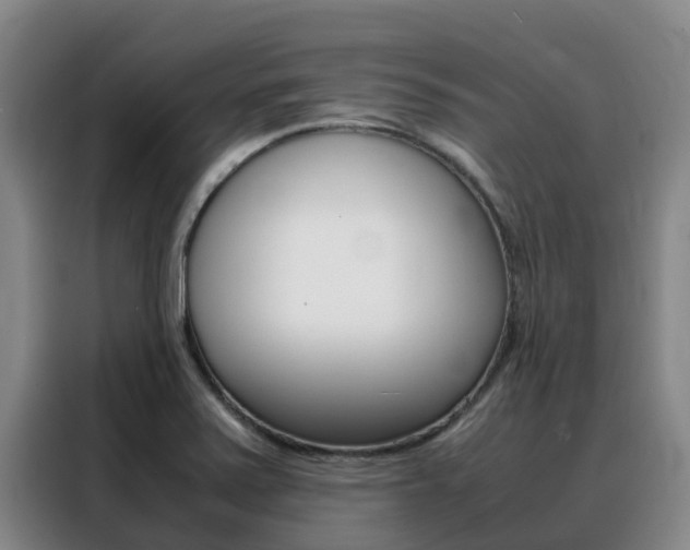 X0000088361371200705220724