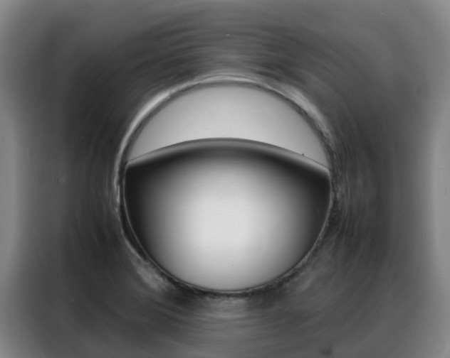 X0000088361372200705220724