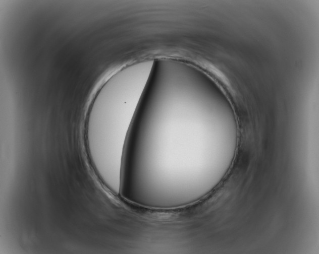 X0000088361373200705220724