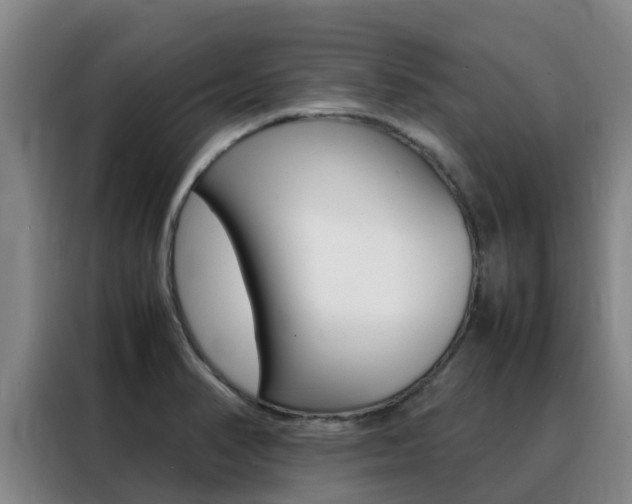 X0000088361374200705220724
