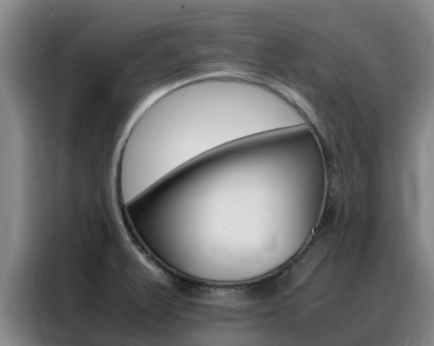 X0000088361375200705220724